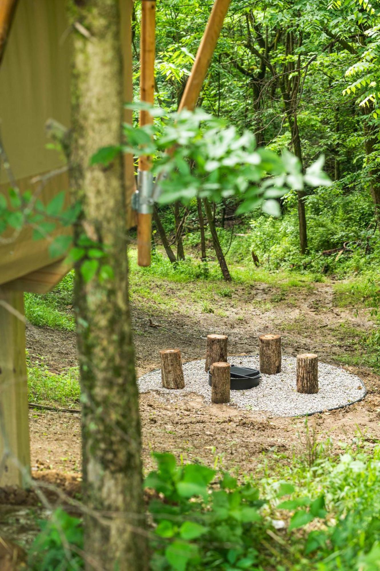The Lodges At Eden Reserve - Safari Tents 윌리엄스타운 외부 사진